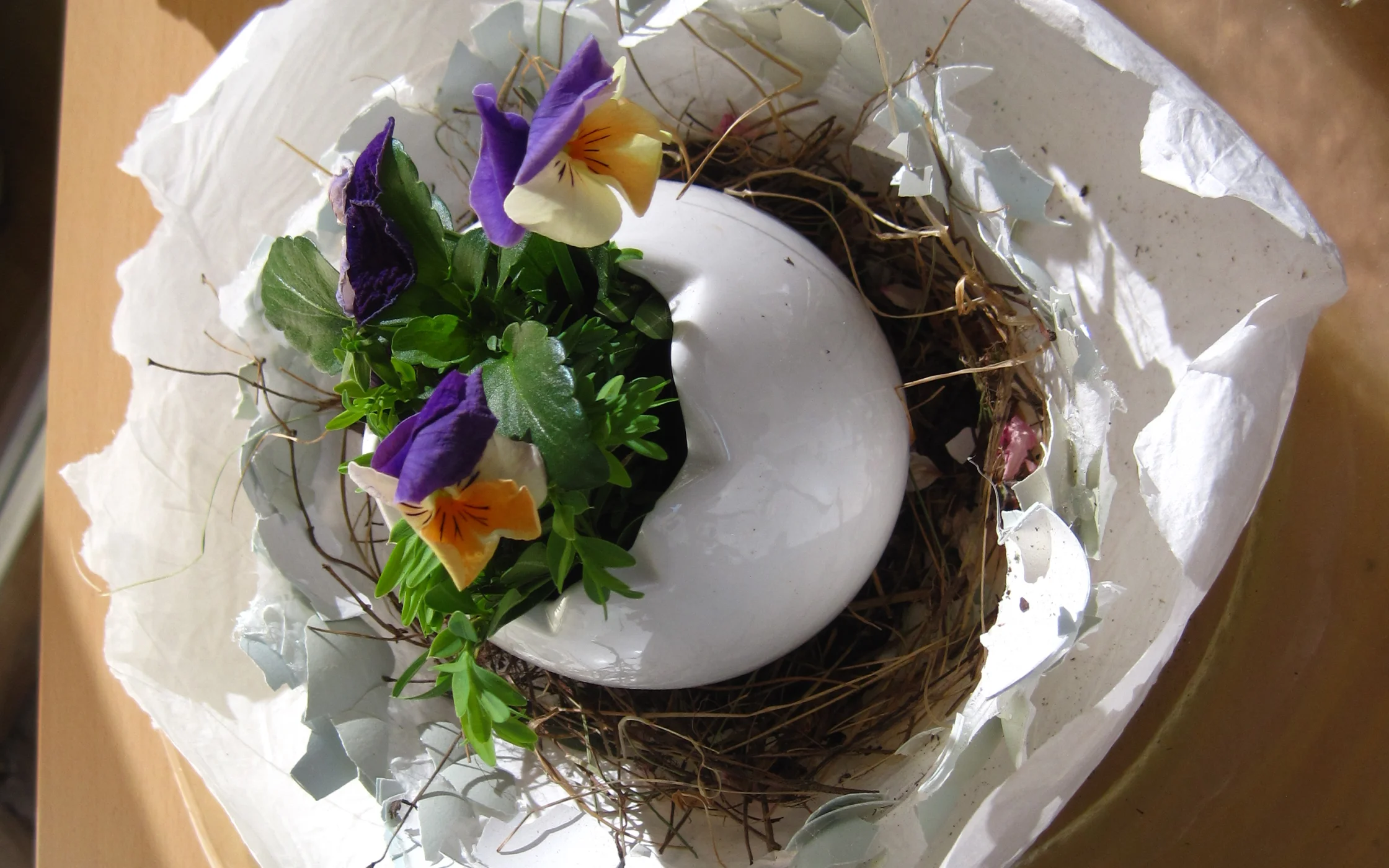 IMG_0243 - Kopie.JPG